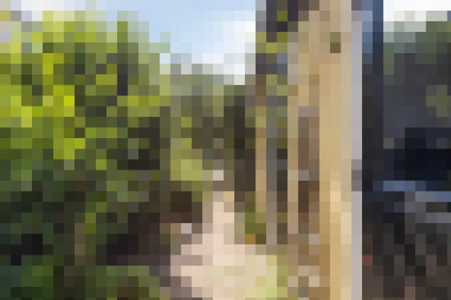 Tuinstraatje 3 Deventer thumbnail 6