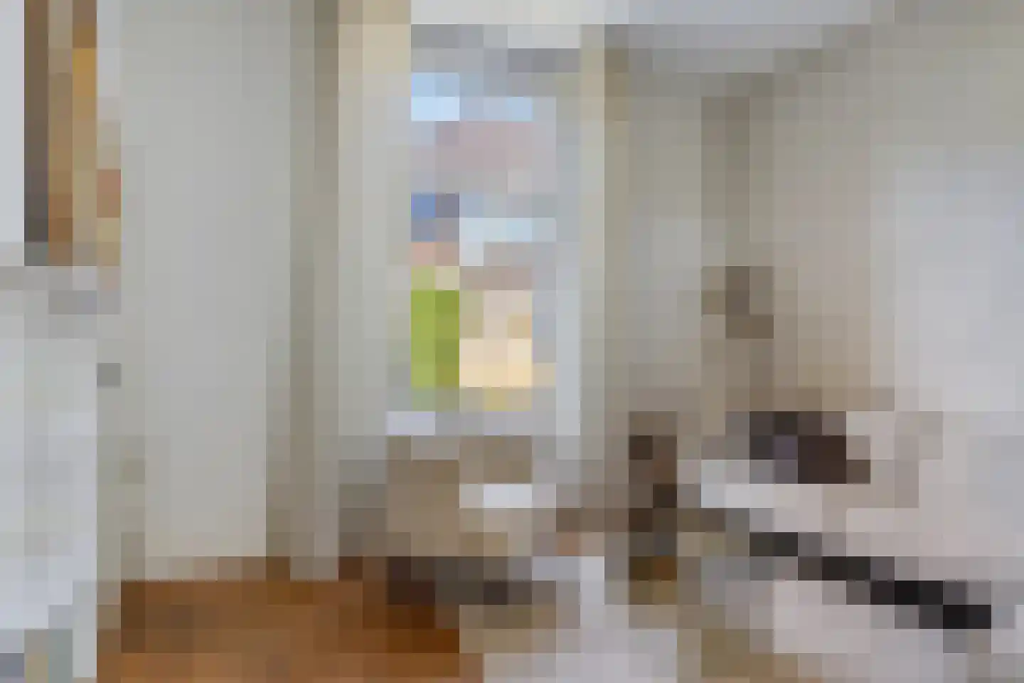 Tuinstraatje 3 Deventer thumbnail 8
