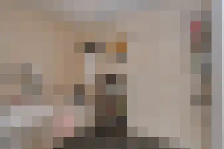 Tuinvaas 20 Almelo thumbnail 16