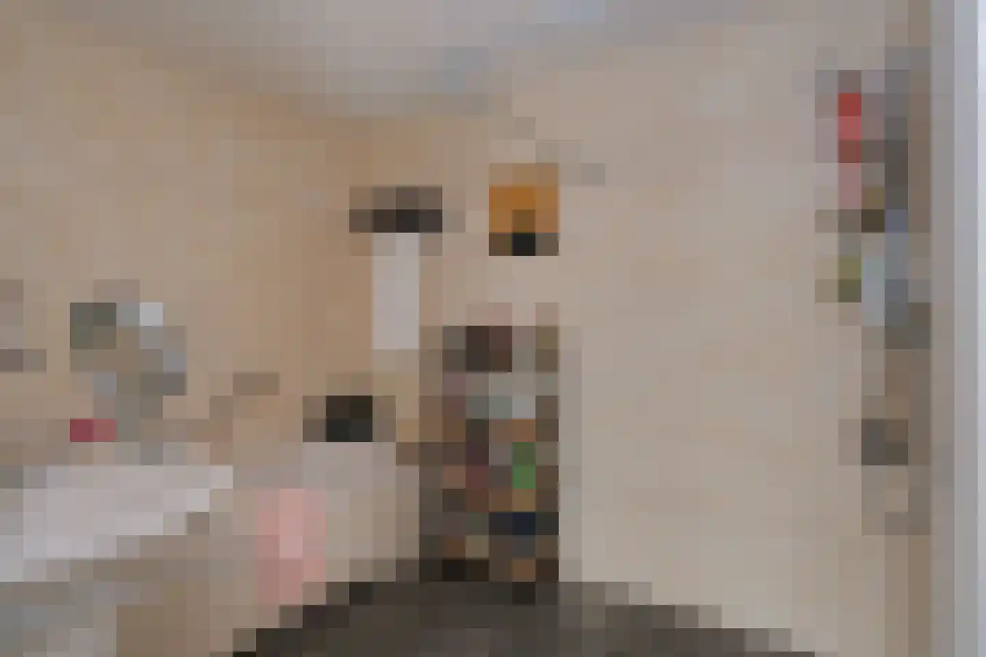 Tuinvaas 20 Almelo thumbnail 16