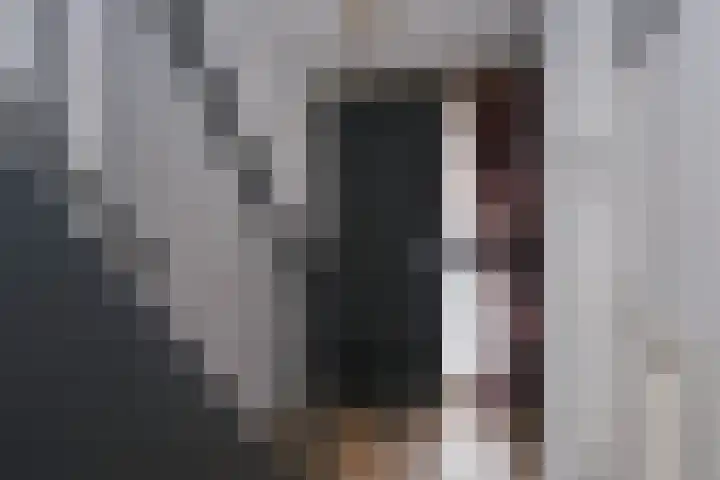 Tuinvaas 20 Almelo thumbnail 17