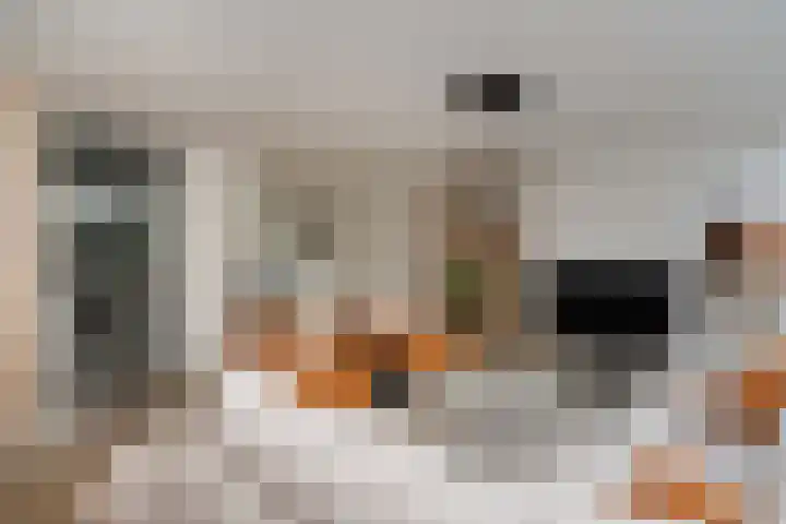 Tuinvaas 20 Almelo thumbnail 6