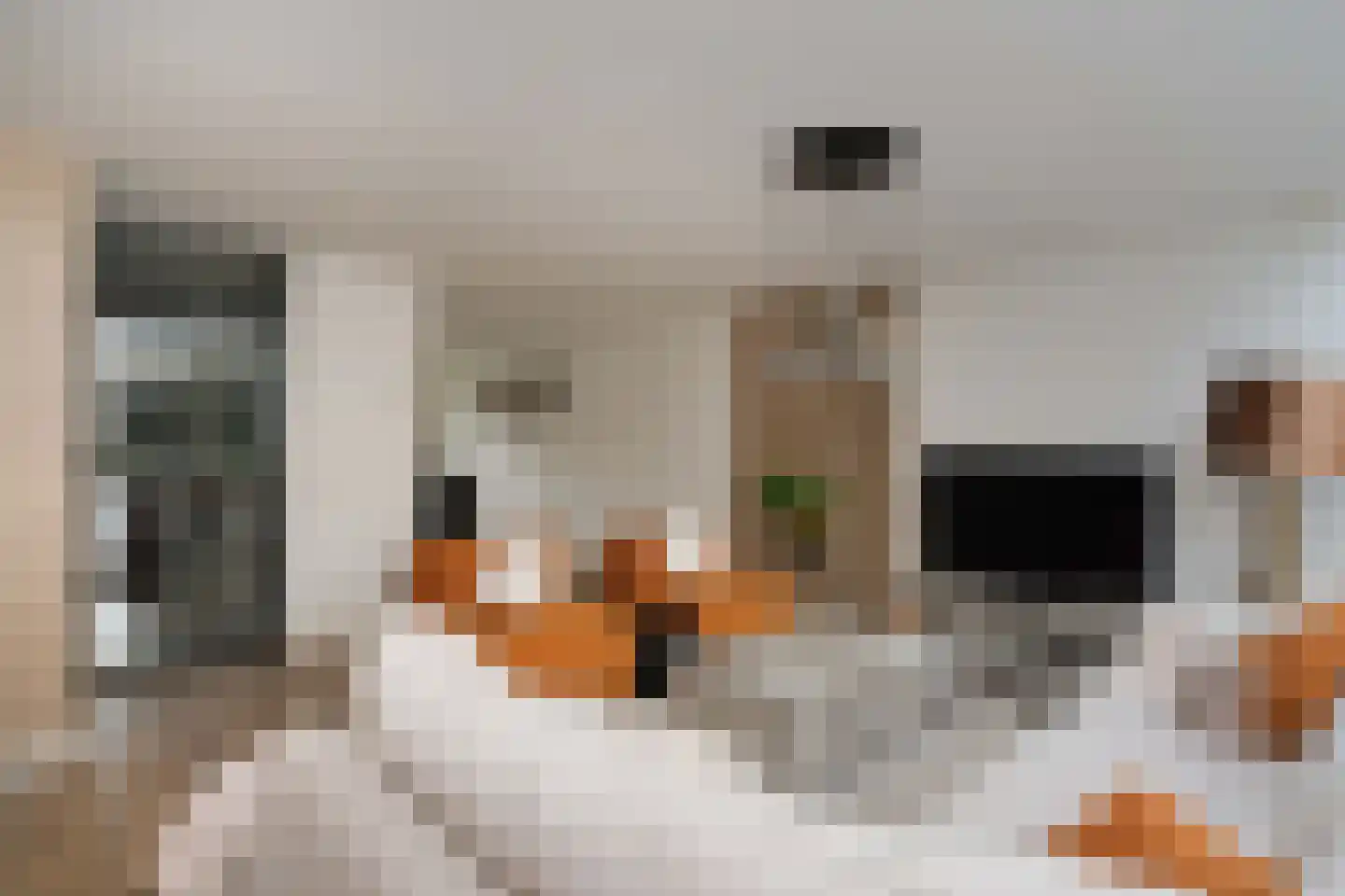 Tuinvaas 20 Almelo thumbnail 6
