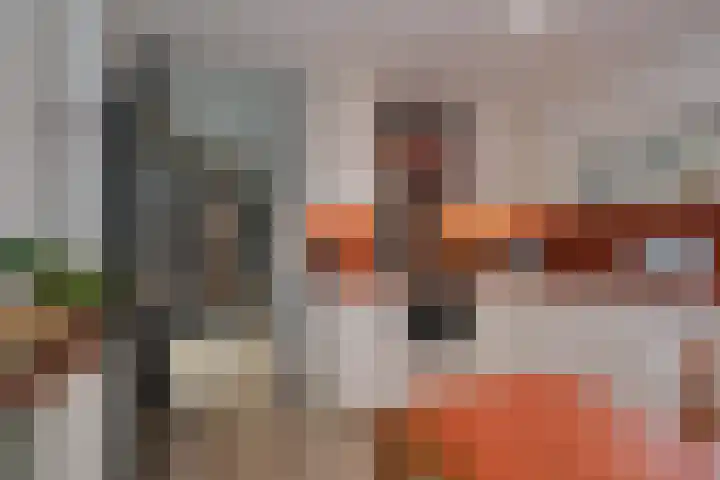 Tuinvaas 20 Almelo thumbnail 8