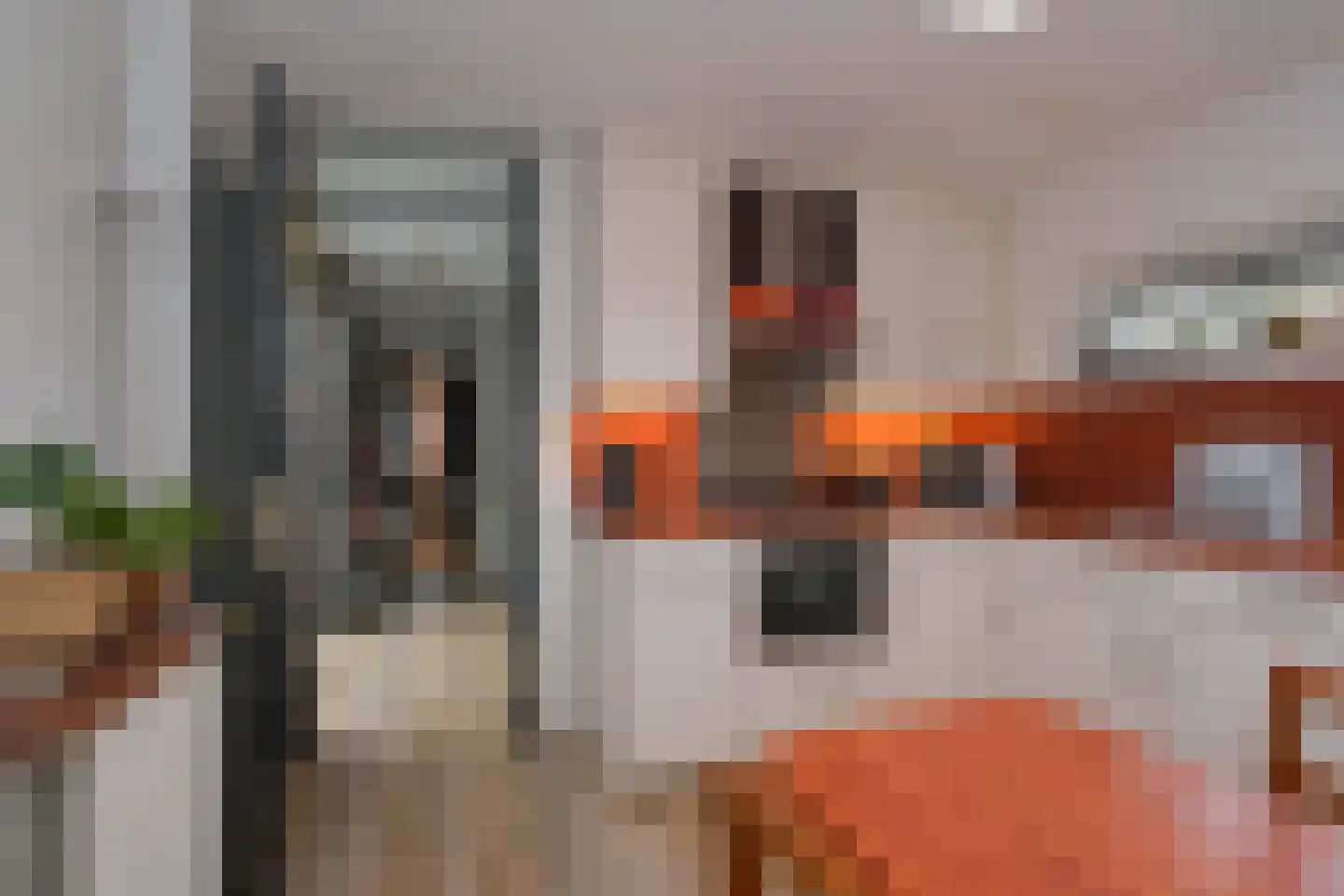 Tuinvaas 20 Almelo thumbnail 8