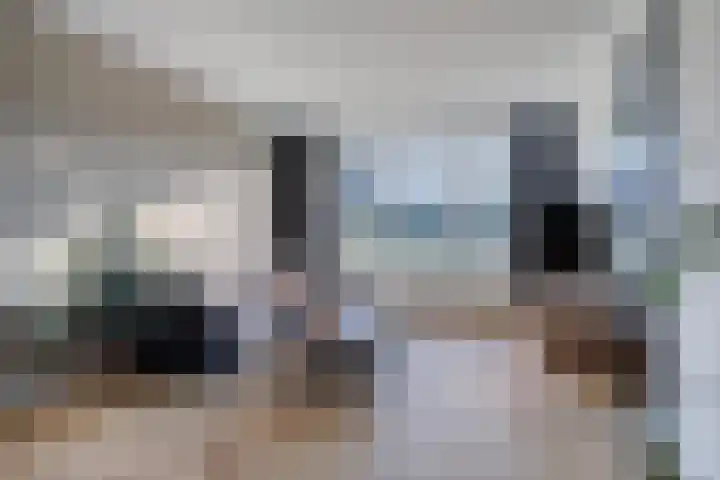 Tuinveld 13 Bergeijk thumbnail 10