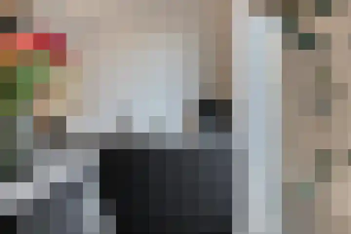 Tuinveld 13 Bergeijk thumbnail 17