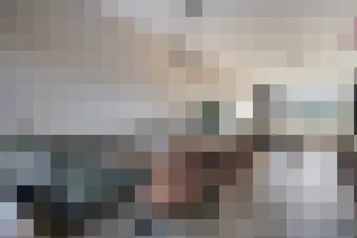 Tuinveld 13 Bergeijk thumbnail 19