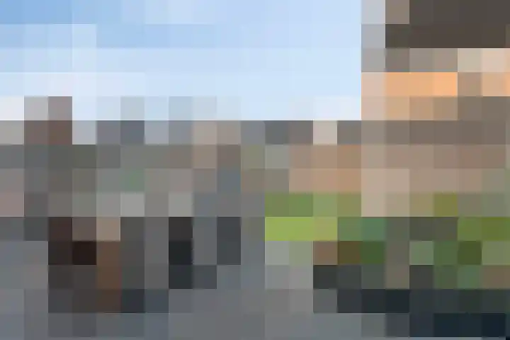 Tuinveld 13 Bergeijk thumbnail 32