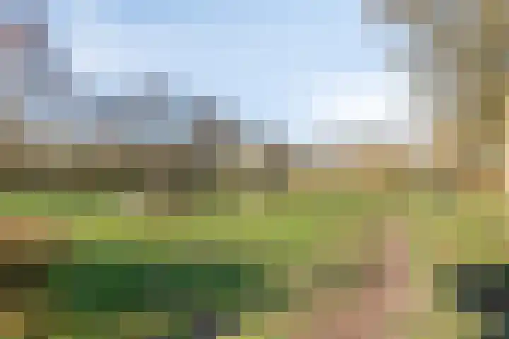 Tuinveld 13 Bergeijk thumbnail 37