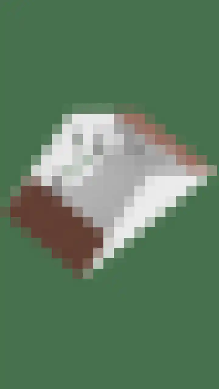 Tuinveld 13 Bergeijk thumbnail 44