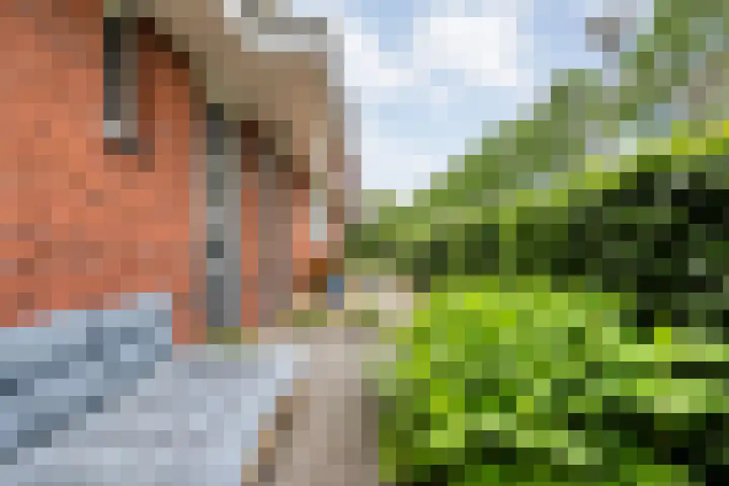 Tuinwal 24 Zwolle thumbnail 10