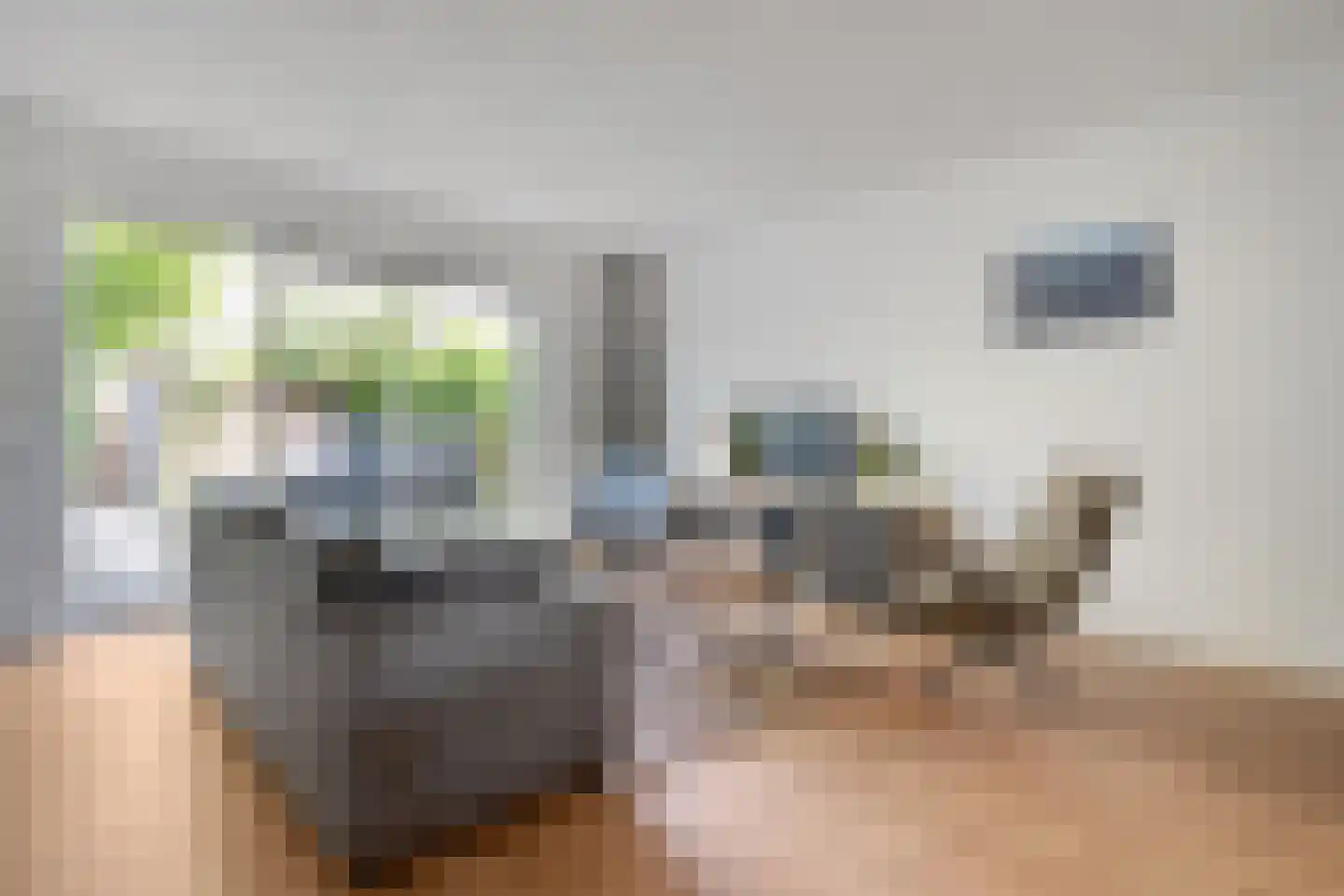 Tuinwal 24 Zwolle thumbnail 15