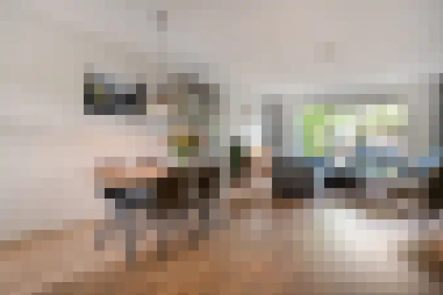 Tuinwal 24 Zwolle thumbnail 18