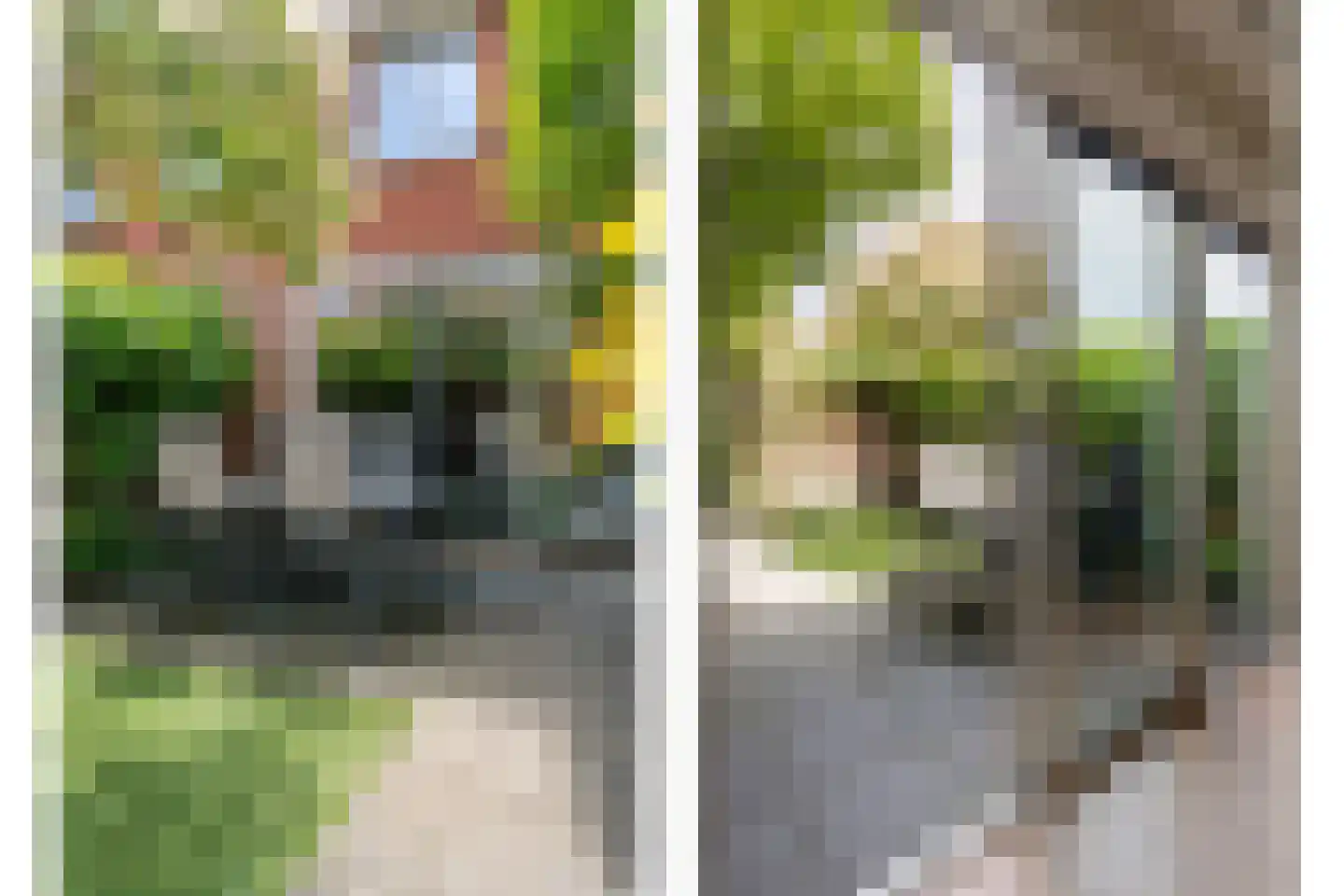Tuinwal 24 Zwolle thumbnail 41