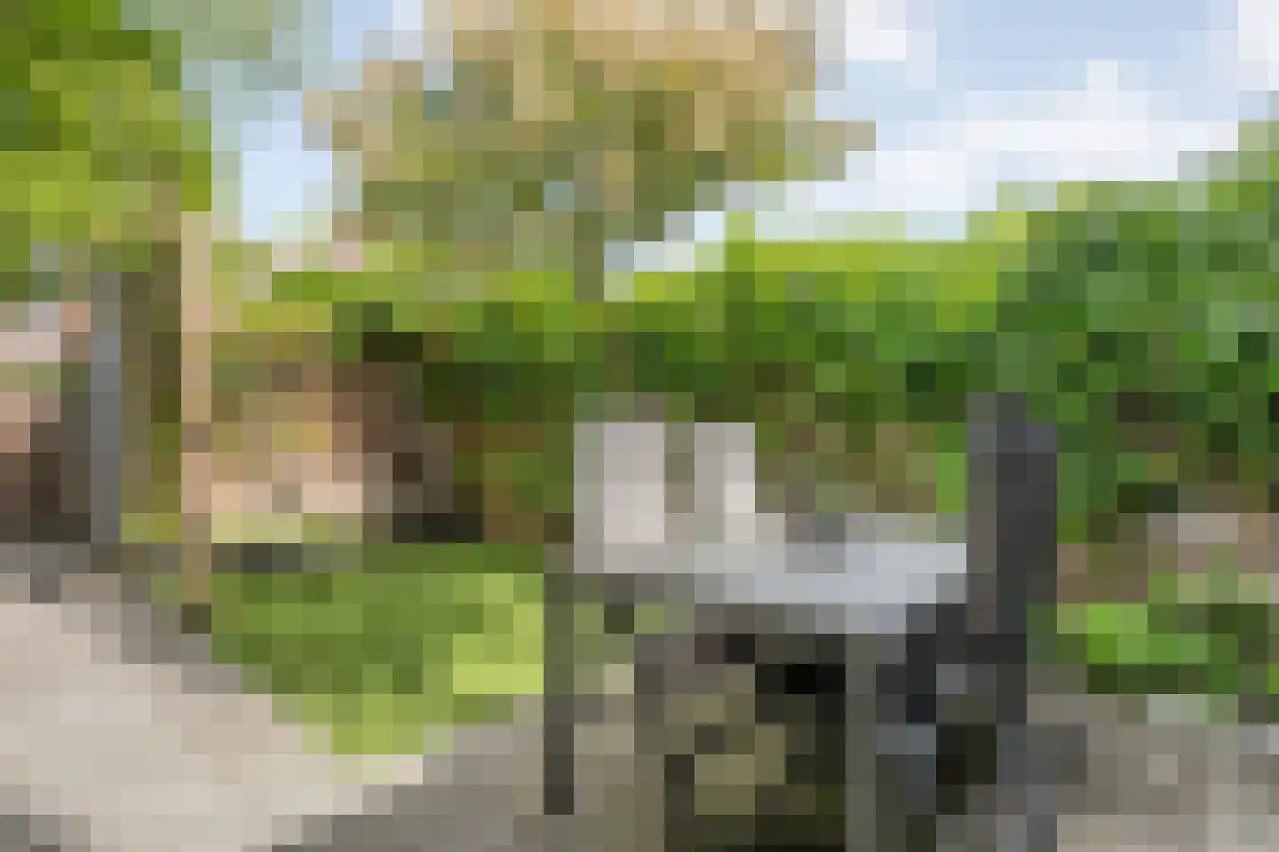 Tuinwal 24 Zwolle thumbnail 42