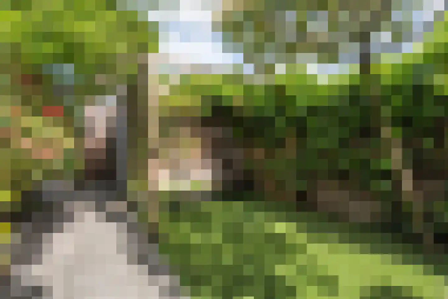 Tuinwal 24 Zwolle thumbnail 44