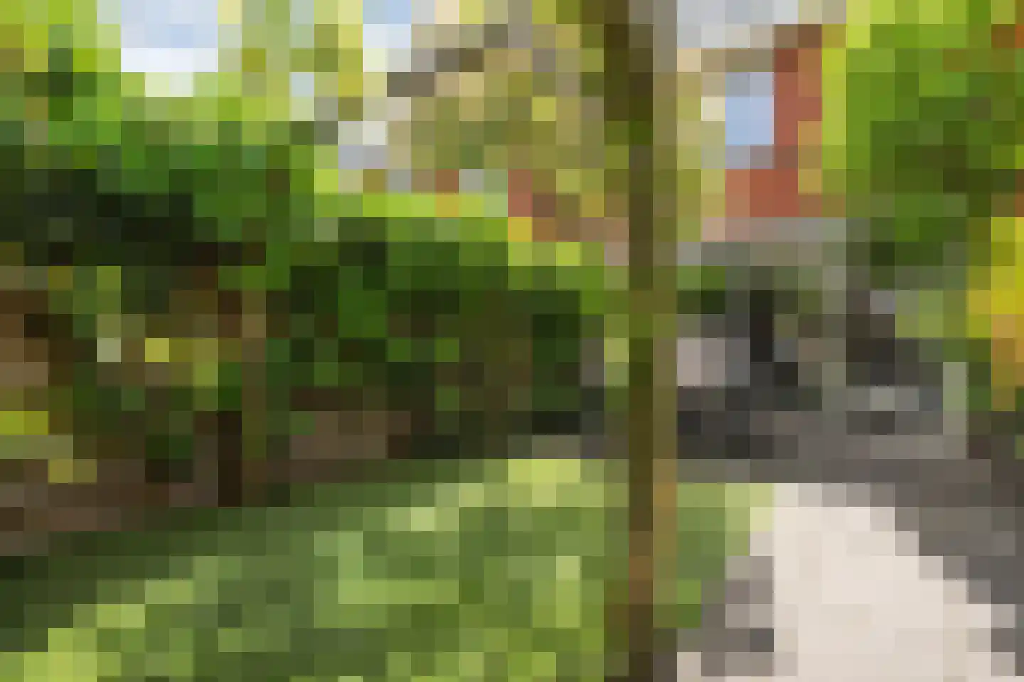 Tuinwal 24 Zwolle thumbnail 45