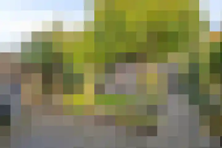 Tuinwal 30 Zwolle thumbnail 25