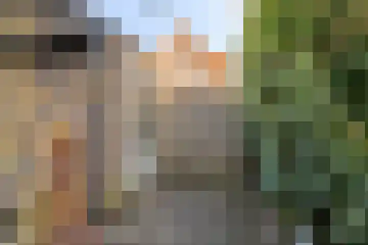 Tuinwal 30 Zwolle thumbnail 26
