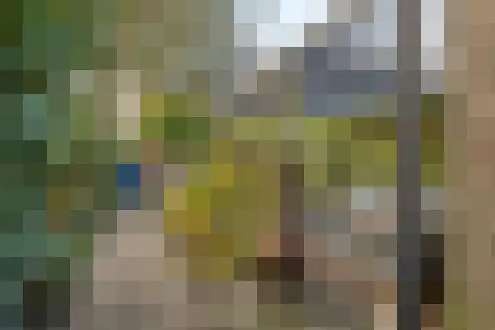 Tuinwal 30 Zwolle thumbnail 27
