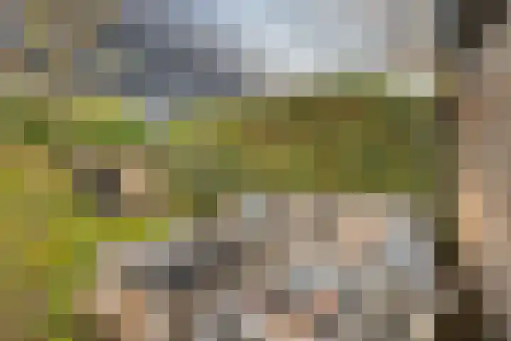 Tuinwal 30 Zwolle thumbnail 28