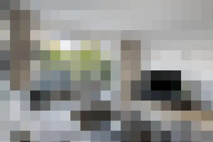 Tuinwal 30 Zwolle thumbnail 7