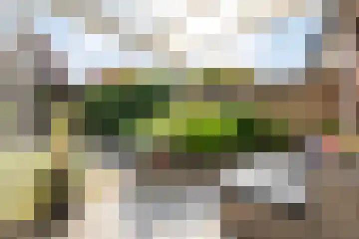 Tuinwal 32 Zwolle thumbnail 24