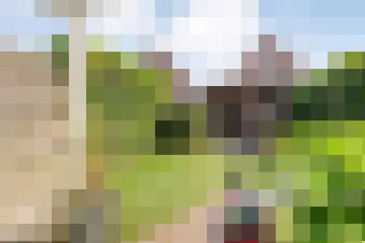 Tuinwal 32 Zwolle thumbnail 27