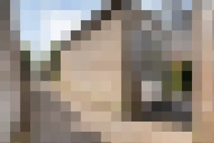 Tuinwal 32 Zwolle thumbnail 28