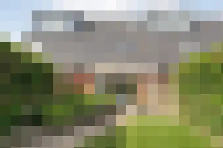 Tuinwal 32 Zwolle thumbnail 29