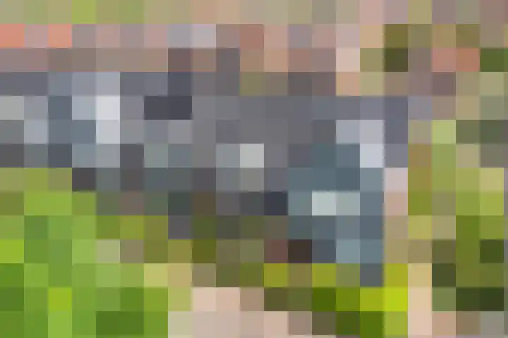 Tuinwal 32 Zwolle thumbnail 31