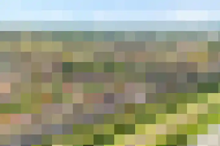 Tuinwal 32 Zwolle thumbnail 32