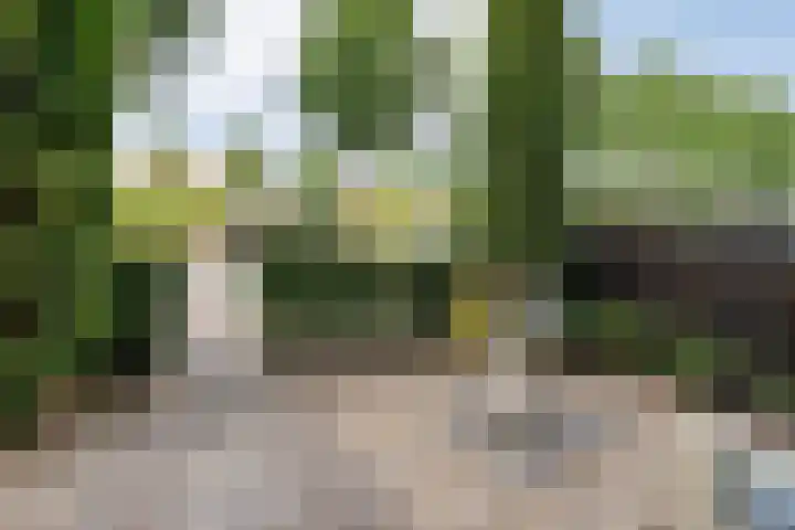 Tuinwal 32 Zwolle thumbnail 5