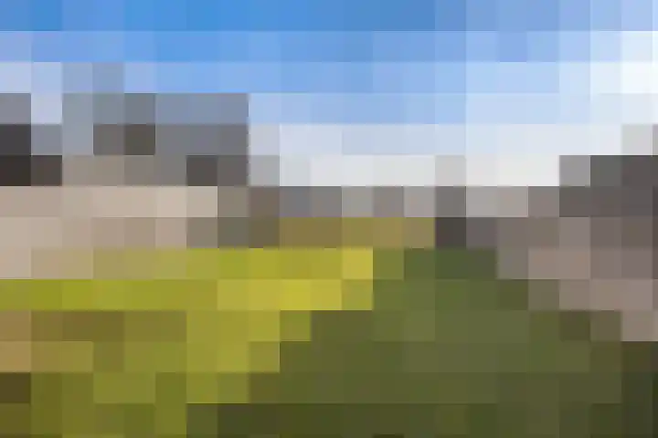 Tuinweg 21 Meppel thumbnail 4