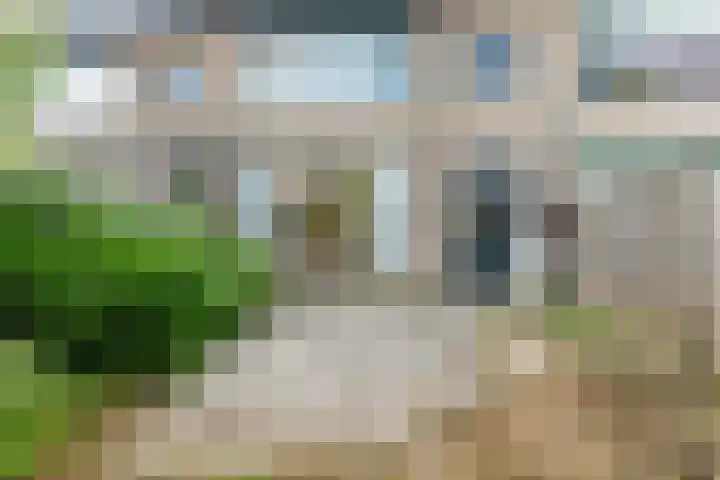 Tuinweg 27 Zuid-Beijerland thumbnail 25