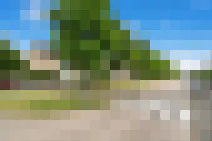 Tuinweg 27 Zuid-Beijerland thumbnail 32