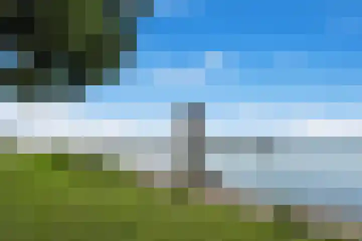 Tuinweg 27 Zuid-Beijerland thumbnail 34