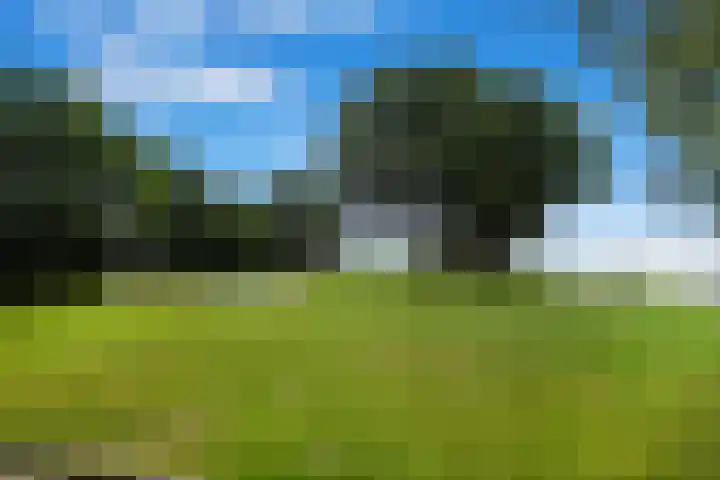 Tuinweg 27 Zuid-Beijerland thumbnail 35