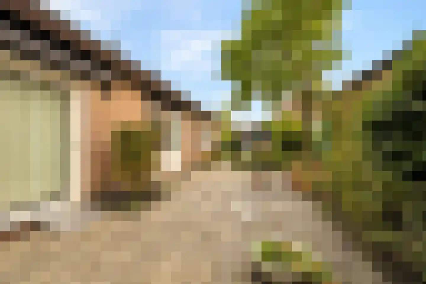 Tuinweg 34 Zuid-Beijerland thumbnail 16