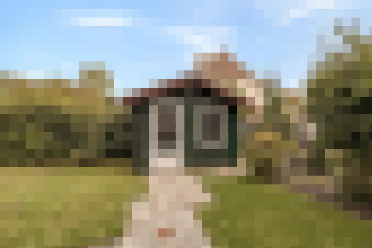 Tuinweg 34 Zuid-Beijerland thumbnail 17