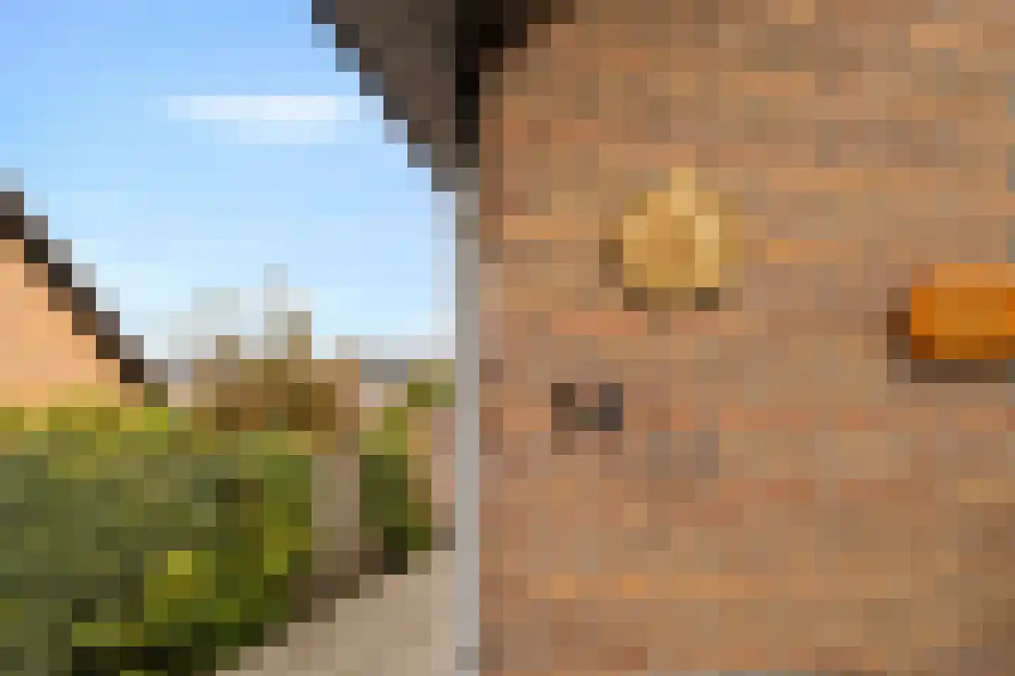 Tuinweg 34 Zuid-Beijerland thumbnail 6