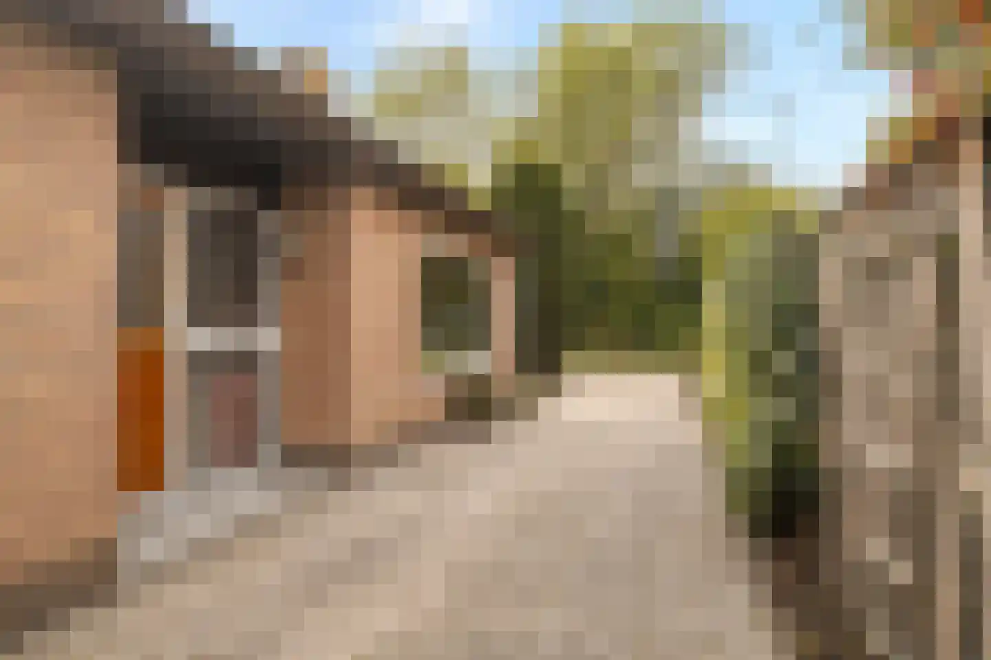 Tuinweg 34 Zuid-Beijerland thumbnail 8