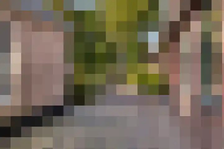 Tuinwegje 10 Ermelo thumbnail 4
