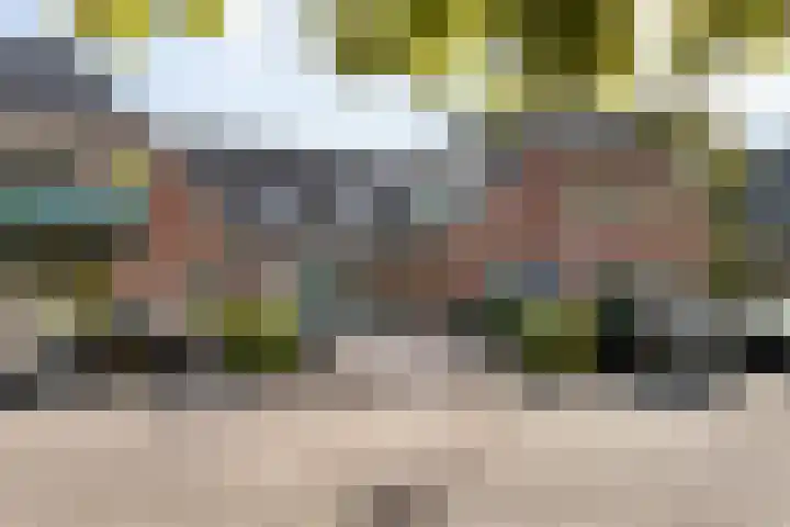 Tuinwegje 10 Ermelo thumbnail 5