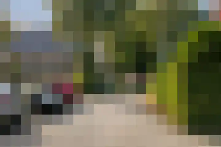 Tuinwegje 10 Ermelo thumbnail 52