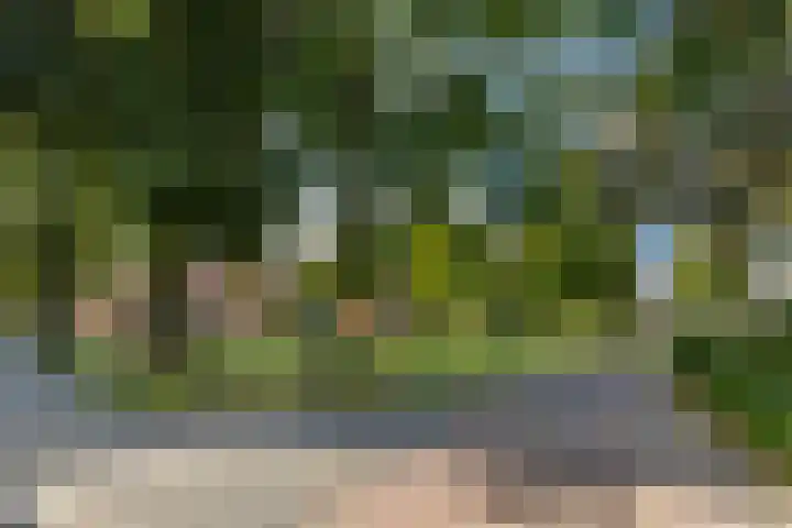 Tuinwegje 10 Ermelo thumbnail 54
