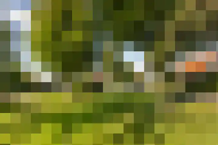 Tuinwegje 10 Ermelo thumbnail 55