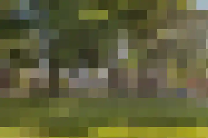 Tuinwegje 10 Ermelo thumbnail 56