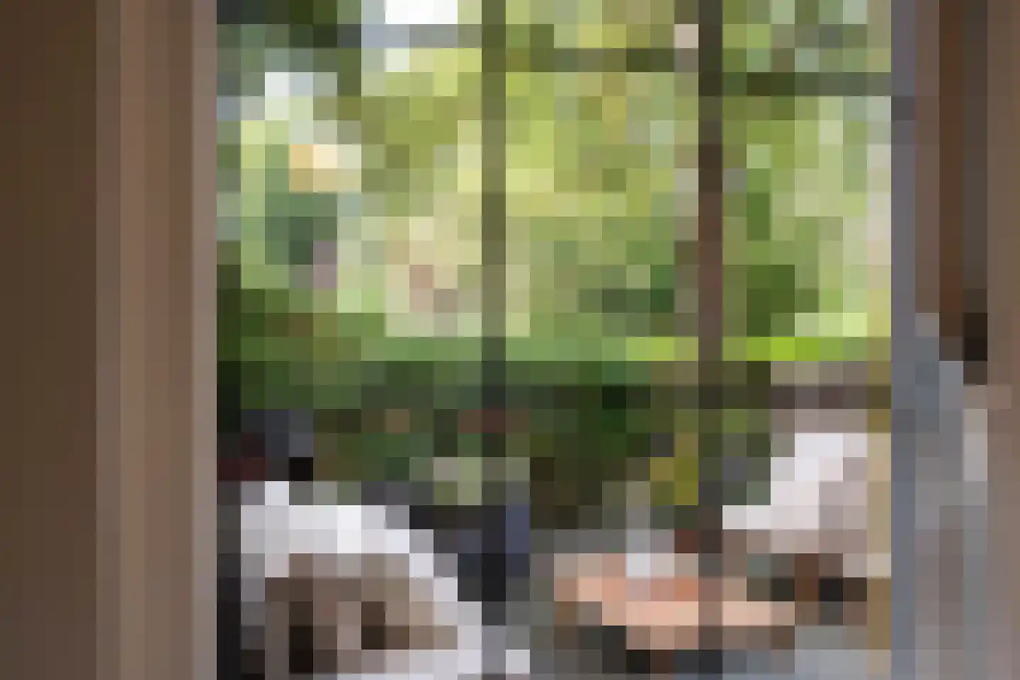 Tuinwijklaan 3 Haarlem thumbnail 23